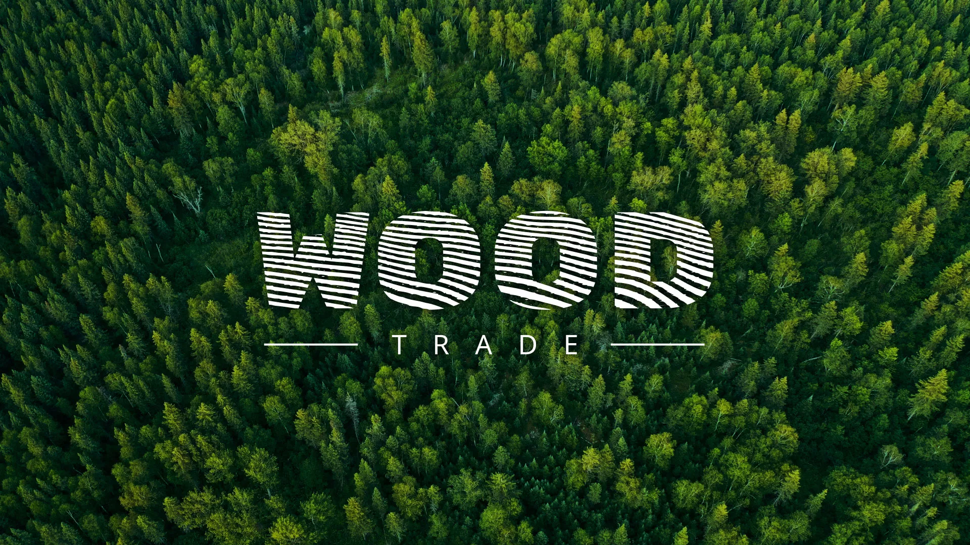 Разработка интернет-магазина компании «Wood Trade» в Сарове