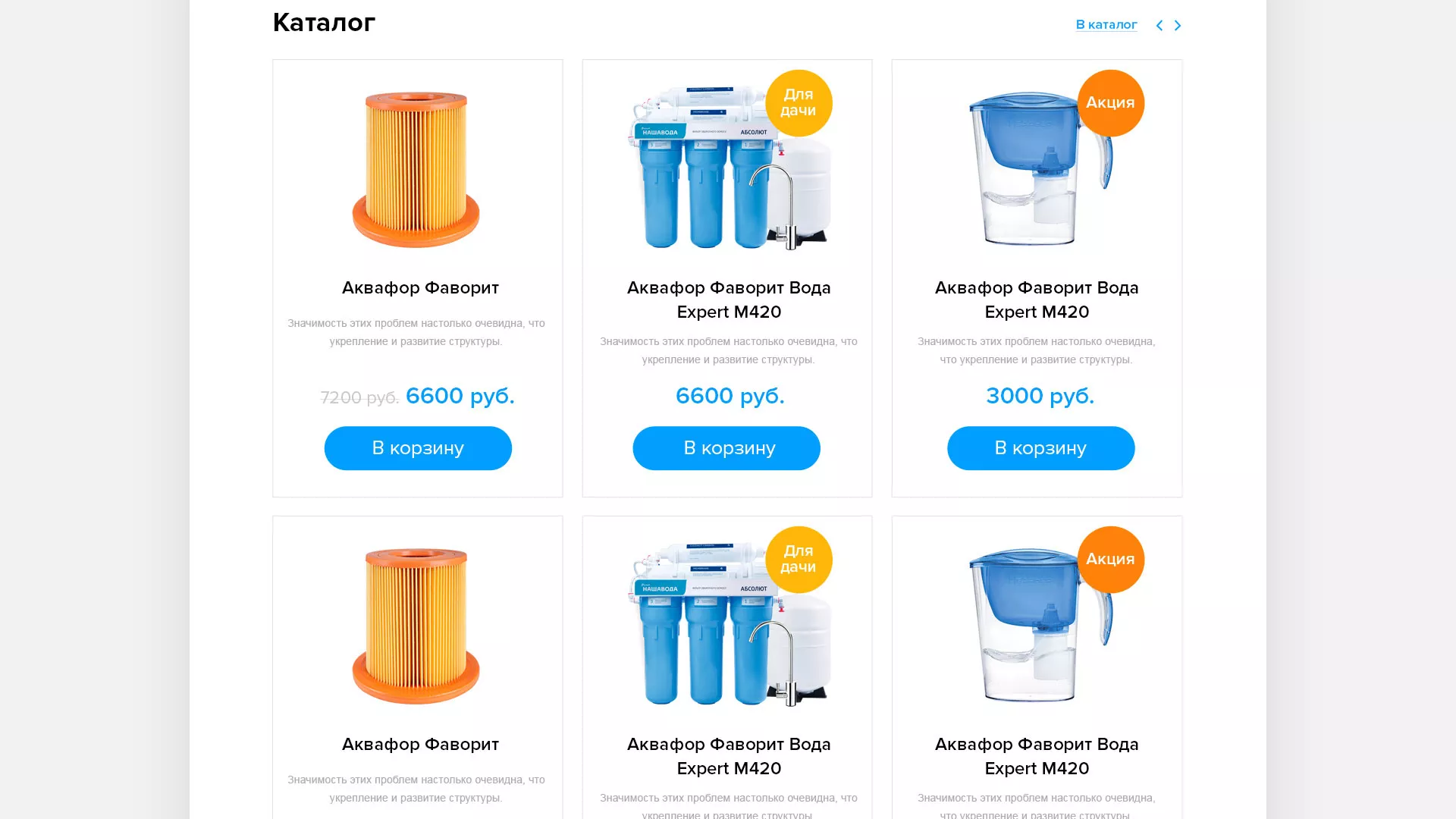 Создание интернет-магазина «Водолей» по продаже фильтров очистных сооружений в Сарове