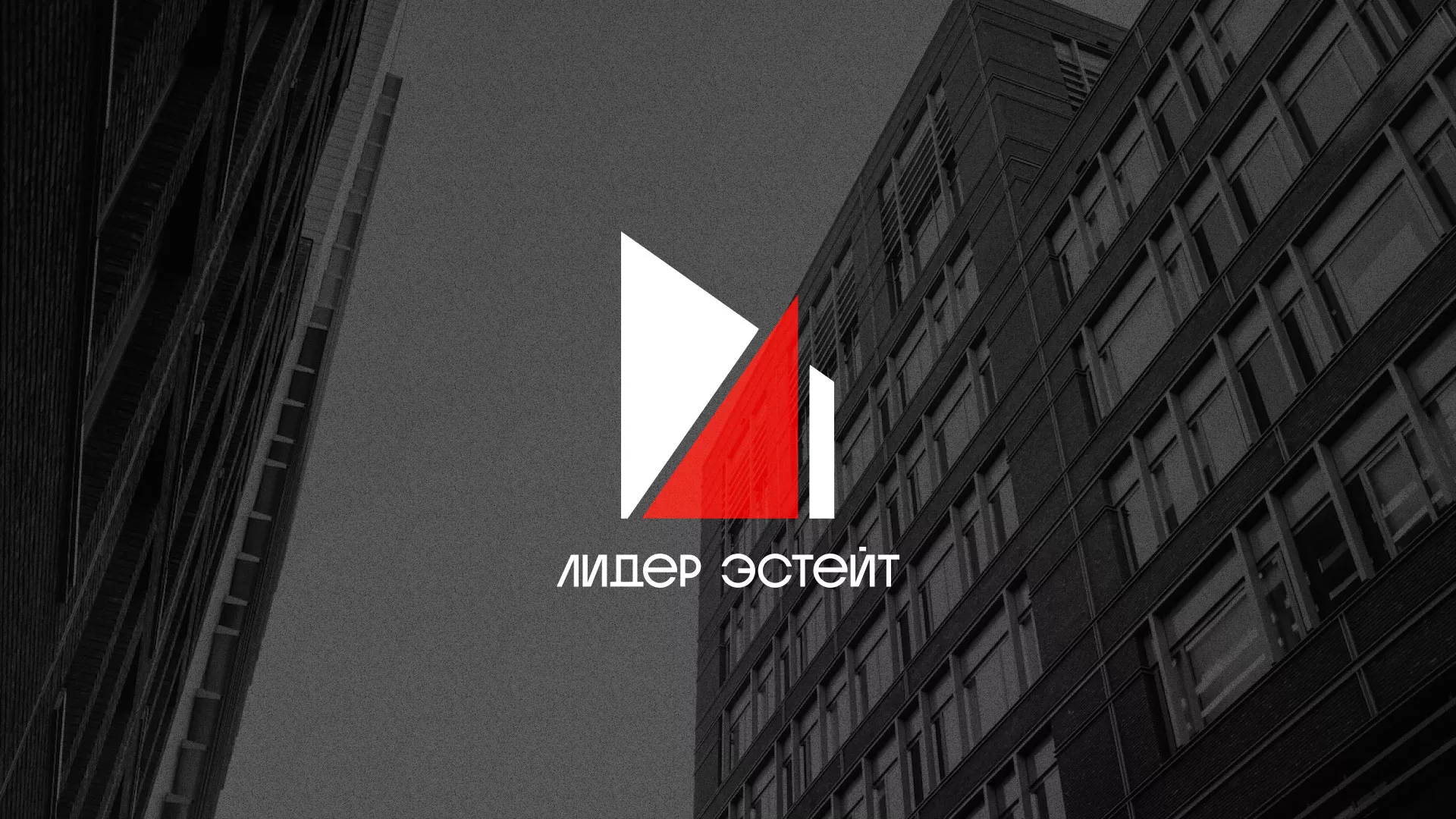 Сделали логотип для агентства недвижимости «Лидер Эстейт» в Сарове